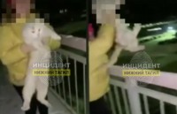 В Нижнем Тагиле подростки сбросили кошку с моста, выполняя задания из соц. сетей (видео)