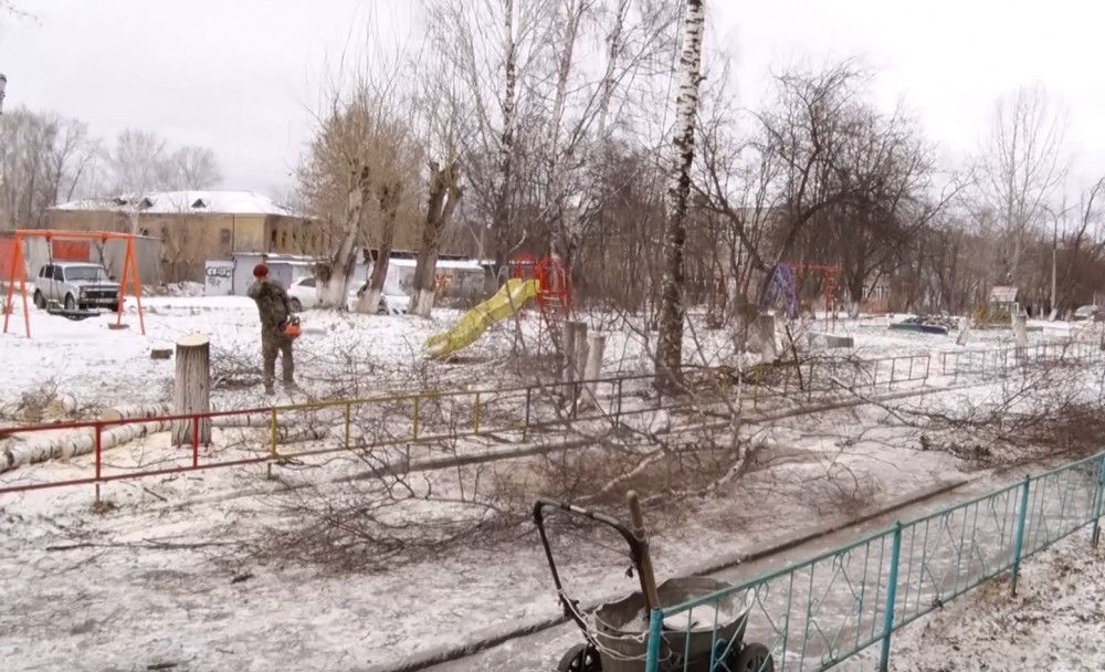 «Занимали первое место по озеленению»: в тагильском дворе разом вырубили полсотни деревьев