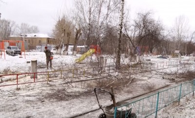 «Занимали первое место по озеленению»: в тагильском дворе разом вырубили полсотни деревьев