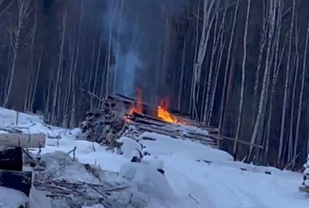 На Ленёвке сжигают лес, вырубленный для карьера