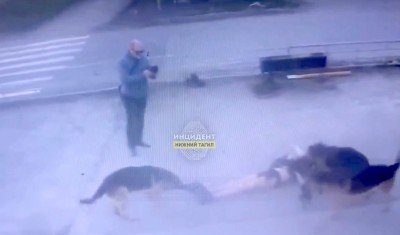 Полиция задержала тагильчанина, натравливавшего своих овчарок на людей. Что о нём известно?