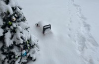 Зима в Свердловской области начнется без переходного периода