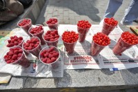 Дань за место и постоянные визиты проверяющих: как в Нижнем Тагиле выживают последних уличных продавцов ягод и грибов