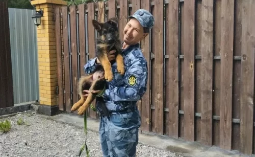 Симптомы списывали на психосоматику: молодая кинолог умерла от болезни, которую поздно заметили врачи