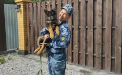 Симптомы списывали на психосоматику: молодая кинолог умерла от болезни, которую поздно заметили врачи