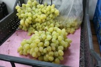 В Нижнем Тагиле уничтожили более 90 кг санкционного винограда