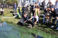 В зеленеющий Тагильский пруд выпустили тысячи особей рыб