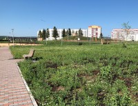 В Нижнем Тагиле за два года на содержание 50 парков и скверов потратят 130 млн рублей