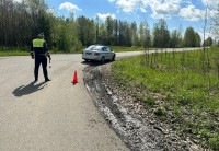 Женщина-водитель не справилась с управлением под Тагилом: пострадали юные пассажиры
