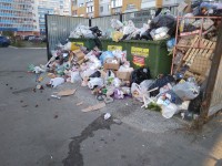 Тариф на вывоз мусора в Нижнем Тагиле оказался самым высоким по области. Посредник «Рифей» недоволен: слишком мало