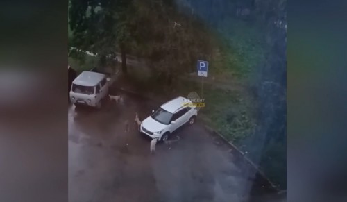 В Нижнем Тагиле стая собак растерзала кроссовер, который встал на место для инвалидов: видео