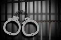 Почти 400 тагильчан лишились свободы за просроченные штрафы