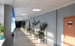 Учитель из Нижнего Тагила опровергла информацию об угрозах насилия от школьника
