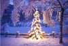 Крепкий мороз: свердловские синоптики дали официальный прогноз на праздники