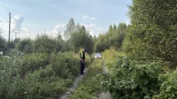 Тагильский подросток оказался в больнице после заезда на мотоцикле друга по просёлочной дороге