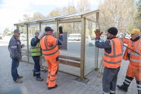 Бьют, стреляют из пневматики: в Нижнем Тагиле орудуют вандалы