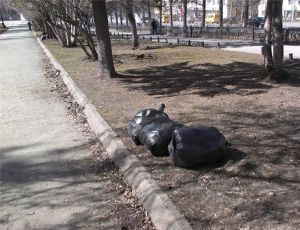 Сергей Носов: «Работать! Пока всё не уберём!». В Нижнем Тагиле начались весенние субботники