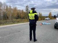 Под Нижним Тагилом насмерть сбили человека. Водитель скрылся