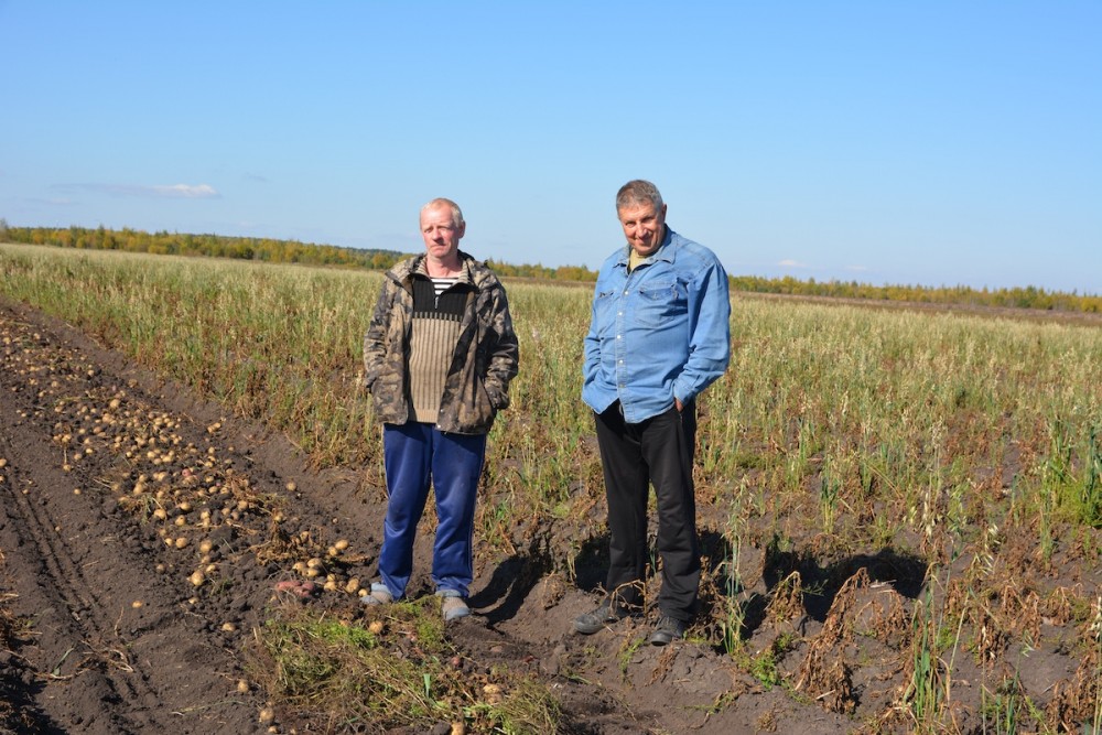 Пролежит до июля: глава уральского КФХ раскрыл, как спас картофель от гниения