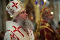 Митрополит Евгений вернулся к управлению Нижнетагильской епархией