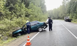Не вошел в поворот? На трассе под Тагилом машина влетела в дерево