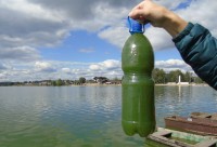 Роспотребнадзор проверит зеленую воду из Черноисточинского пруда, которую пьют жители Нижнего Тагила (фото)