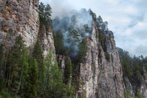 Лесной пожар тушат на территории природного парка «Река Чусовая», погибли звери и птицы (фото)