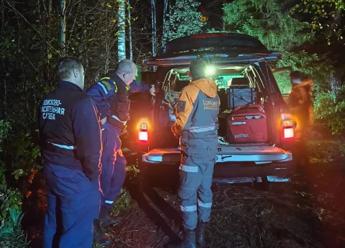&laquo;Могла бы и больше, если бы не блудила&raquo;: под Тагилом спасли пожилую грибницу