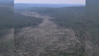 &laquo;Накосил&raquo; просеки: путь свердловского торнадо сняли с вертолета