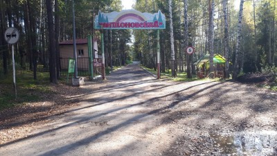 Тагильские власти нашли способ выполнить поручение президента, сэкономив миллиарды