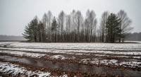 Ждём снег: свердловские синоптики дали прогноз на неделю