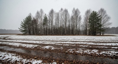 Ждём снег: свердловские синоптики дали прогноз на неделю