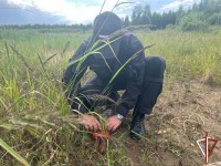 Житель Нижнего Тагила наткнулся в своем саду на снаряды от пушки 1915 года: фото