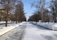 Каким будет январь в Свердловской области: прогноз Гидрометцентра