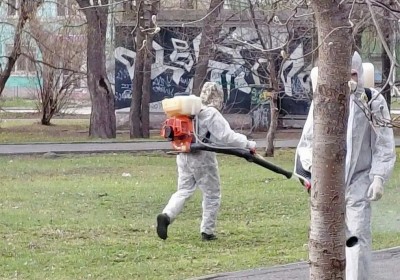 Где в Нижнем Тагиле уже безопасно гулять: стартовала противоклещевая обработка