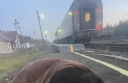 «Они вообще страх потеряли»: в Свердловской области поезда сбили трех медведей