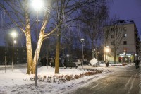 На уборку небольшого сквера в Нижнем Тагиле будут тратить по 200 тыс. ежемесячно