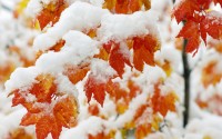 На Урале объявлено экстренное предупреждение о непогоде: возможен мокрый снег и гололёд