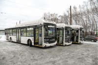 Большие автобусы поедут во все районы Нижнего Тагила