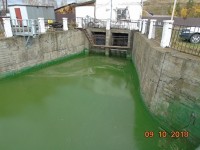Экологи: гнилая «зеленая» вода из Черноисточинского пруда вскоре попадет в Тагильский