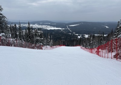 Организацию-куратора проекта развития кластера «Гора Белая» ликвидируют