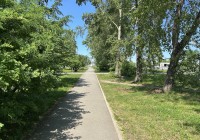Какими будут июль и август в Свердловской области: прогноз на основе статистики