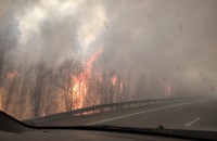 В Свердловской области начались лесные пожары. Прогноз тревожный