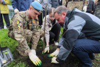 В Нижнем Тагиле появилась аллея героев СВО