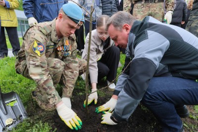 В Нижнем Тагиле появилась аллея героев СВО