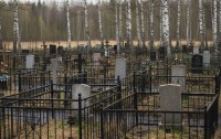 Кладбища Нижнего Тагила не будут обработаны от клещей к Радонице