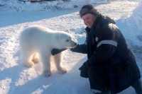 Житель Нижнего Тагила спас детеныша белого медведя и подружился с ним (фото)
