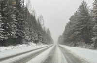 77-летнего тагильчанина отправили в колонию-поселение за смертельное ДТП в результате обгона под знак в снегопад