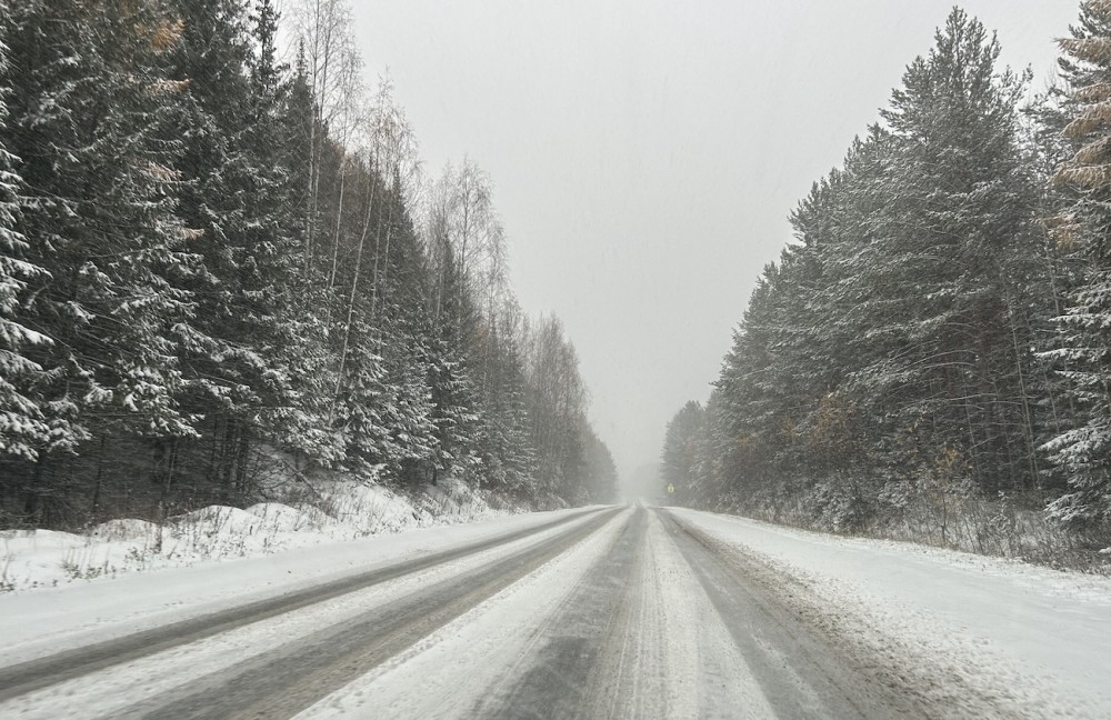 77-летнего тагильчанина отправили в колонию-поселение за смертельное ДТП в результате обгона под знак в снегопад
