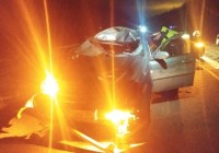 Лось стал причиной серьёзного ДТП на Серовском тракте